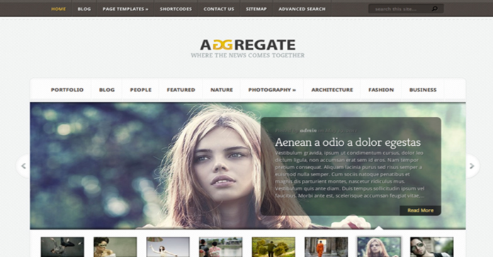 Tema Wordpress ADGRegate - Elegante Templates