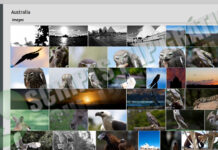 Script PHP Galeria de Imagens PhotoShow